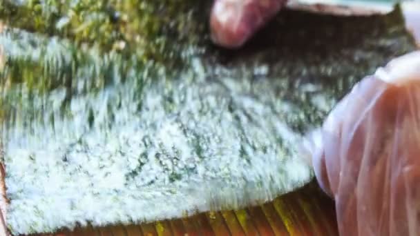 Mãos humanas cozinhar rolo de sushi — Vídeo de Stock