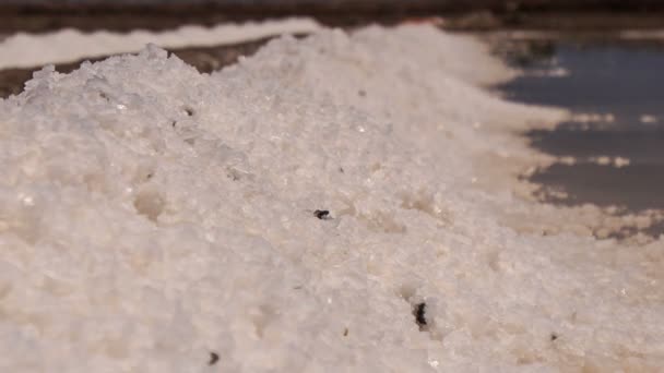 线的白色盐 — 图库视频影像