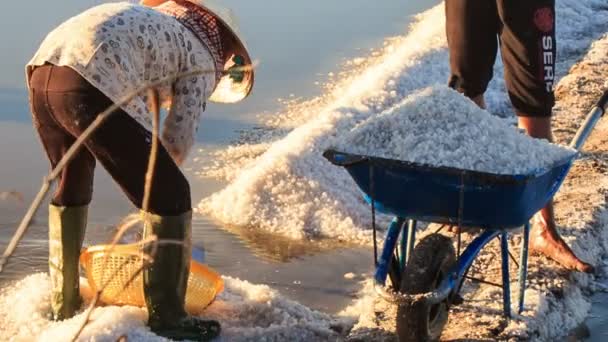 Werknemer vullen kruiwagen met zout — Stockvideo