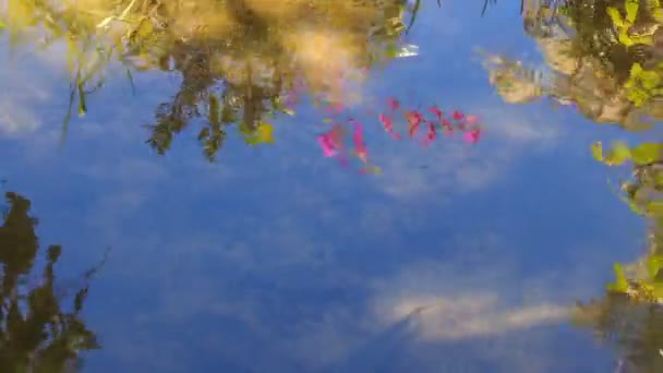 Рефлекторное небо в воде — стоковое видео