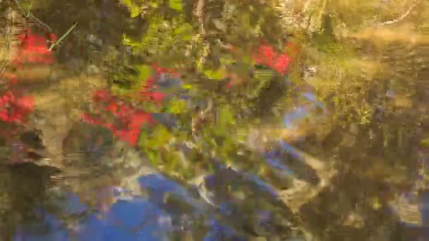 Cielo reflejado en el agua — Vídeos de Stock