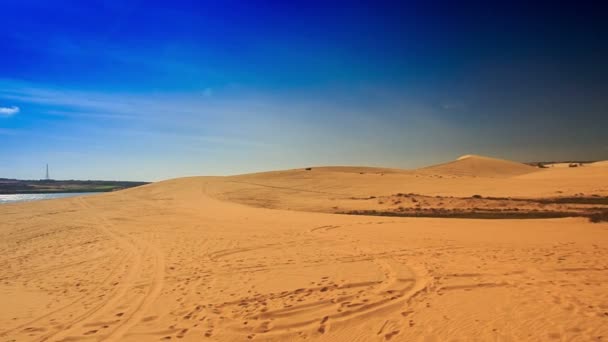 Dunas de areia com plantas raras — Vídeo de Stock