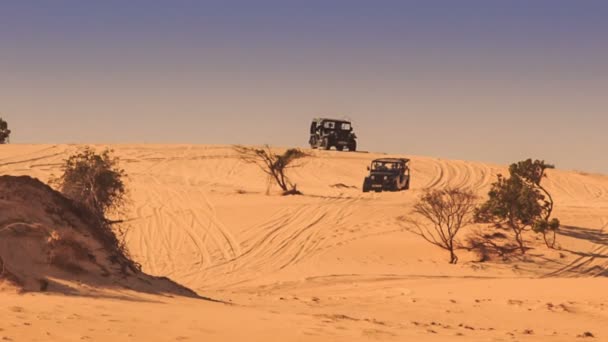 Jeeps racing at sand dunes — Stock Video