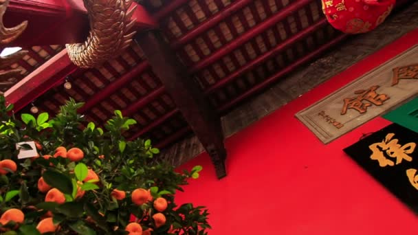 Chinese lantaarn met dragon — Stockvideo