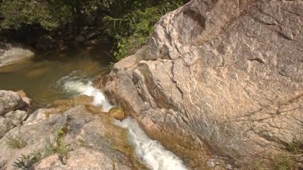 Petite rivière de montagne — Video