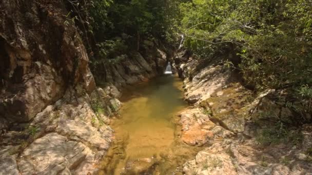 Pequeño río de montaña — Vídeos de Stock