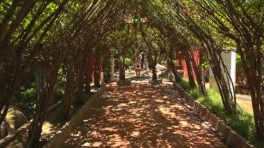 Dekoratif ağaç tünel 