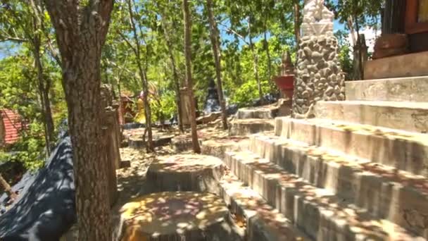 Sculptures à Temple Park au Vietnam — Video