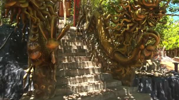 Traditionele Dragon sculpturen — Stockvideo