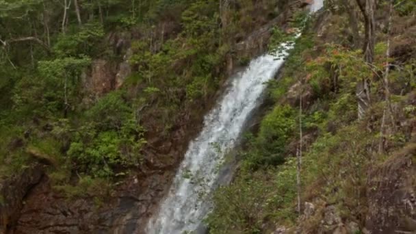 Cachoeira de montanha entre falésias lenhosas — Vídeo de Stock