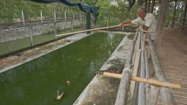 yaşlı adam timsah eti ile beslenir.