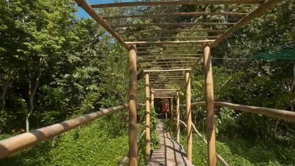 Puente de madera en parque tropical — Vídeo de stock