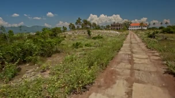 Stone path among grass trees bushes — Stock Video