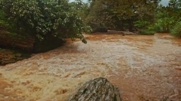 Cascada de tormentoso río de montaña — Vídeo de stock