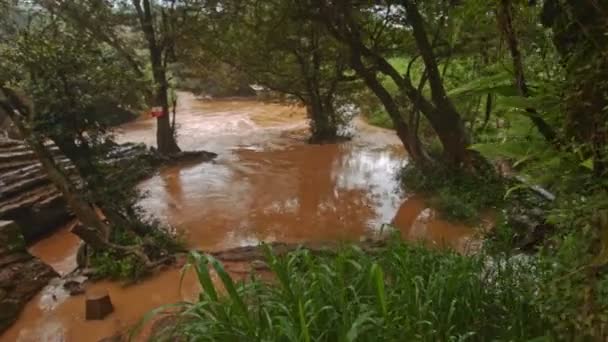 Pequeño estanque de río tranquilo — Vídeo de stock