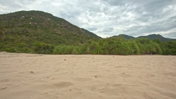 Longue plage de sable — Video