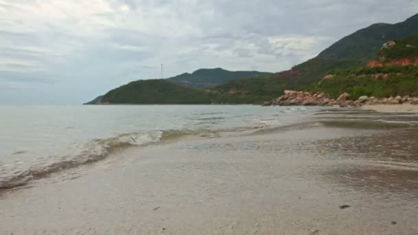 Playa de arena con plantas tropicales — Vídeos de Stock