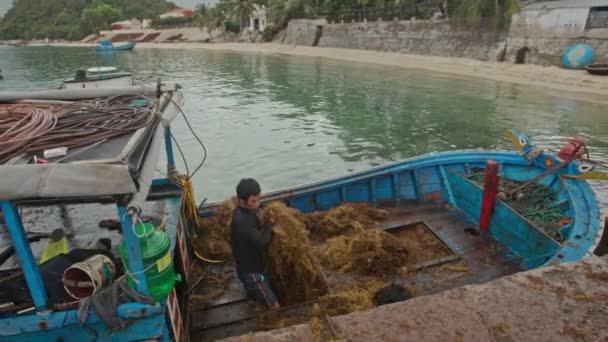 Homens vietnamitas descarregam algas — Vídeo de Stock