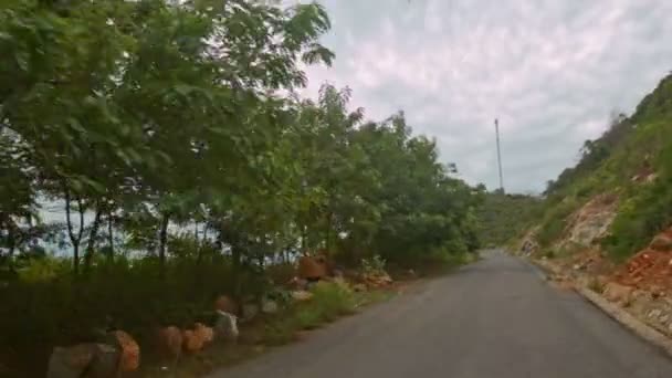 Estrada de asfalto entre árvores tropicais — Vídeo de Stock