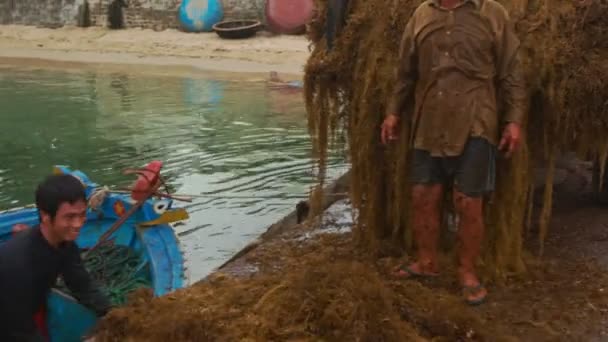 Homens vietnamitas carregam algas — Vídeo de Stock