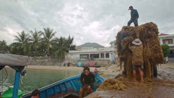 Hombres vietnamitas cargan algas — Vídeo de stock