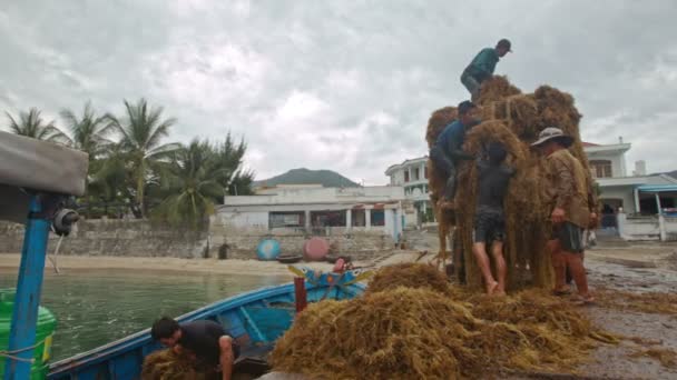 Hombres vietnamitas descargan algas — Vídeos de Stock