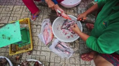 Deniz Shellfishes kase 