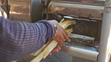 Adam şeker kamışı kaynaklanıyor çizer