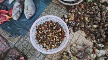  Shellfishes beyaz plastik kase