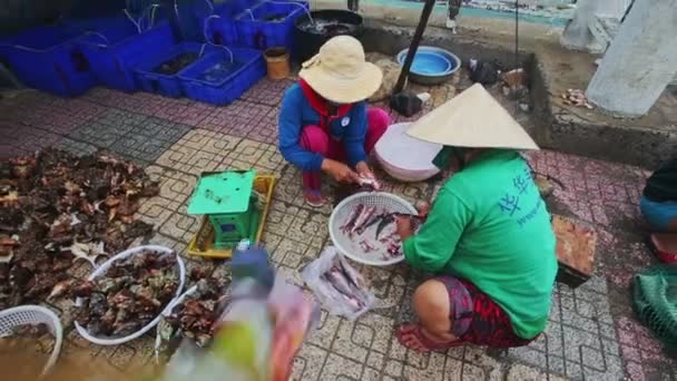 Vietnamese woman sits near different shellfishes — Stock Video