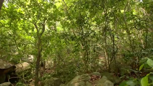 Flechas rojas sobre rocas en el parque — Vídeo de stock