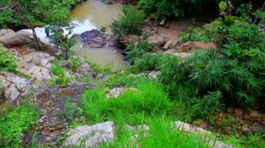 köpüklü dağ nehir