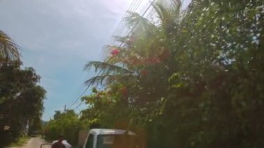  geniş nehir ve tropikal bitki