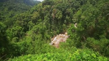 tropikal yeşil tepeler 