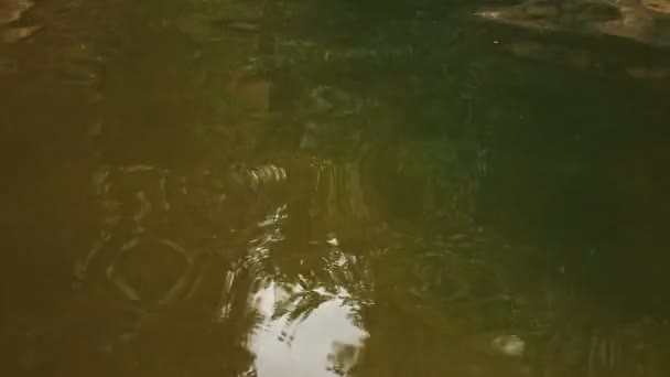 Панорама маленького водоспаду — стокове відео