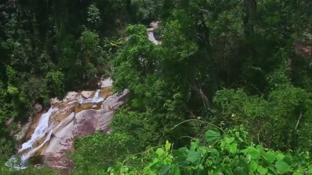 Colinas verdes tropicales — Vídeos de Stock