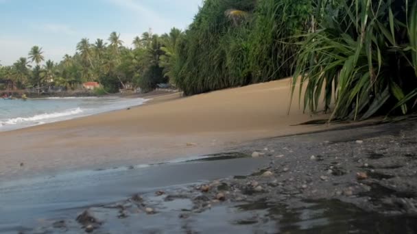 Costa marítima tropical com areia limpa e mar azul ondulado — Vídeo de Stock