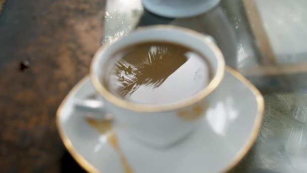 Palm tree silhouette reflects in porcelain cup with coffee — Stock Video