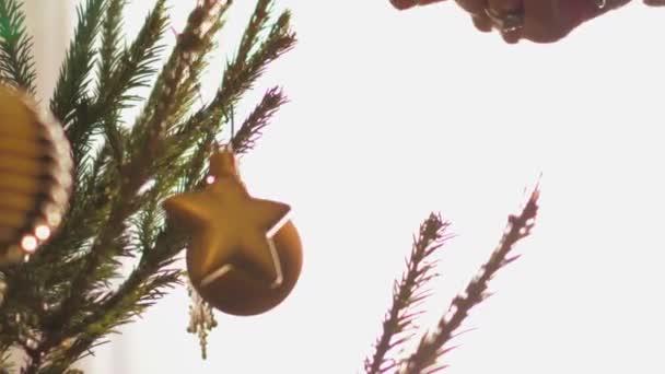 Decoraciones doradas colgadas de las manos a las ramas del árbol de Navidad — Vídeos de Stock