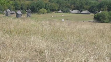 Ağaçların yanındaki kahverengi binalarla yerel parkın yeşil çayırı