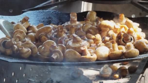 Смачні гриби лежать на сковороді з чорного металу близько — стокове відео