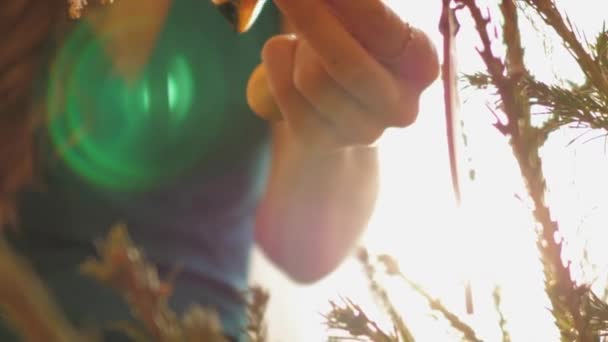 Junge Frau hängt Spielzeug an stacheligen Christbaumzweigen — Stockvideo