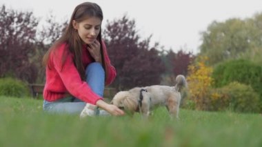 Kadın yeşil alanda oturan Shih Tzu köpeğini besliyor.