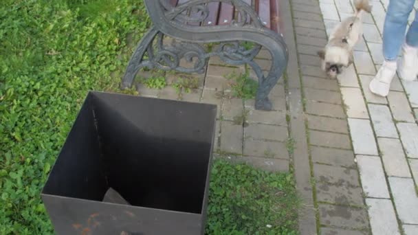 Frau wirft benutztes Feuchttuch in Mülleimer, wenn sie mit Hund spazieren geht — Stockvideo