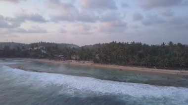 Kumlu plajlar ve palmiye ağaçları siluetleri olan kıyı şeridi.