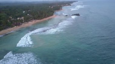 Köpüren okyanus dalgalarıyla palmiye ormanları arasındaki kumlu sahil şeridi.