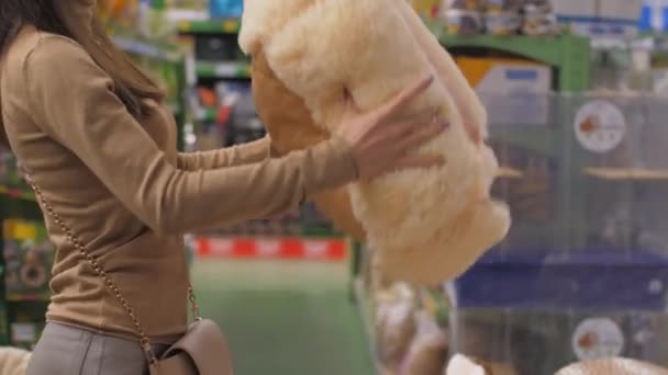 Long haired lady throws up fluffy cat bed of brown colour — Stock Video