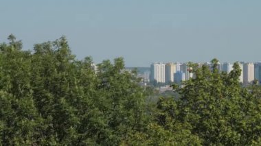 Modern bölge yüksek binalarına karşı büyüyen yeşil ağaçlar