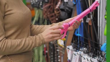 Manikürlü genç kadın elleri Mor kedi tasmasını tut