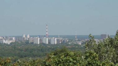 Yüksek binalarla şehir görüşüne karşı büyüyen ağaçlar